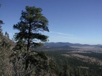 Elden Lookout