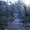 Along the heart of rocks trail