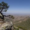 Views from Browns Peak trail