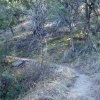 Hiking along the Bog springs loop trail