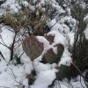 Snowy desert on the White rock loop trail