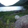 Lake Ellen Wilson and a shy mountain goat