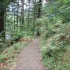 Oneonta gorge trail