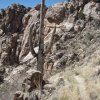 Bear canyon trail