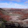 Painted desert views