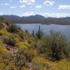 Bartlett lake as seen from the Palo Verde trail