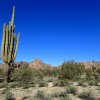 Old Saguaro on the North mountain park nature trail loop (Casa Grande)