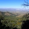 Views from the Bog Springs trail