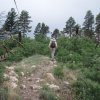 Hiker on the Ken Patrick trail