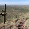 Lone Saguaro looks over the Superstition Wilderness