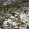 Bear canyon trail