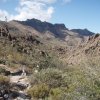 Views along the Carney springs trail
