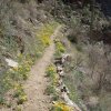 Bear canyon trail