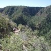 Views into Pine canyon