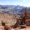 Views from the South Kaibab trail