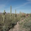 hikers along the Black mesa loop trail