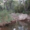 Rattlesnake creek
