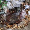 water in the creek