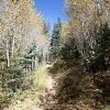 Fall colors along the Sunset trail