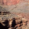 Big views from the Tonto trail