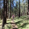 Hiker enjoying Westfork little colorado trail