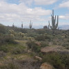Views from the Marcus Landslide trail