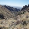 Bear canyon trail