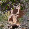 more ruins in Pueblo canyon