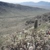 South Mountain views
