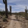 The Hidden Valley trail (South Mountain)