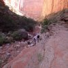 Hikers scramble in Buck Farm Canyon - Grand Canyon