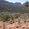 hiking up to snoopy rock