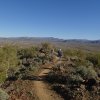 Hikers on the Apache wash loop hike (Phoenix sonoran preserve)