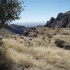 Bear canyon trail