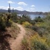 Bartlett lake from the Palo Verde trail