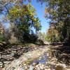 Sycamore Creek