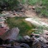Emerald pools at Zion National park