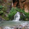 Virgin river narrows - Zion national park