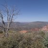 Views from Bear Mountain