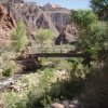 Bright Angel creek