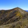 Fall colors on Mount Elden