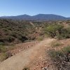 Bulls Eye trail loop
