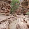 The patio at Deer creek