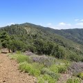 Hiking the ridgeline of Mount Tritle
