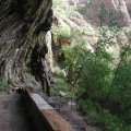Weeping rock at Zion national park