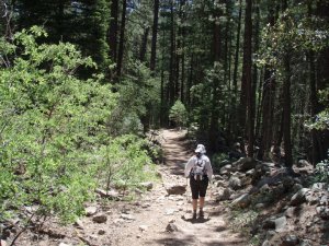 on the trail to Horton springs