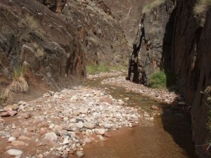 Clear creek