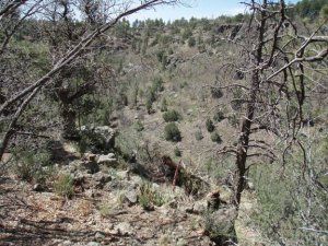 Gaddes canyon trail - upper