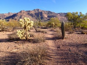 Views of the Superstition Wilderness along the Cougar trail