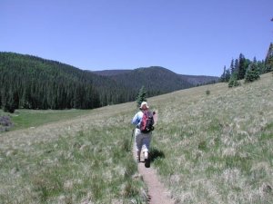 Hiker on the Mount Baldy trail